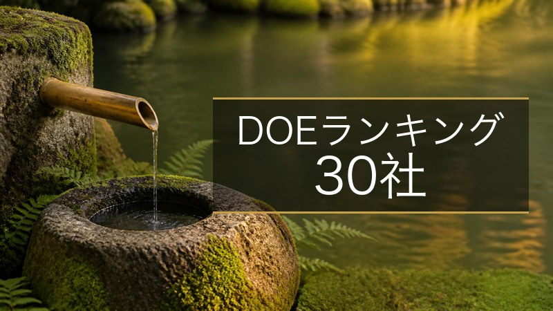 DOEランキング 水準8.0%以上の30社