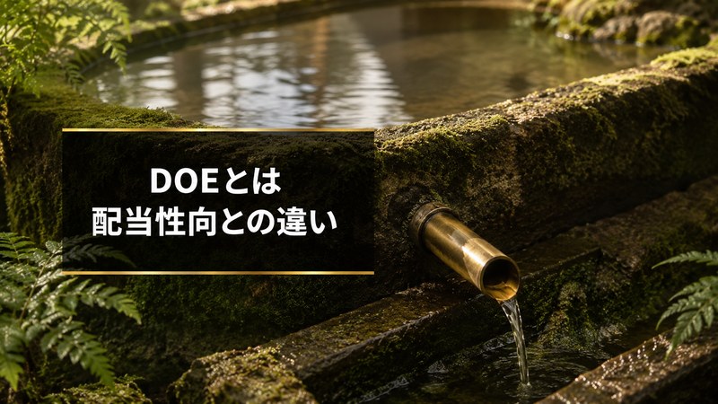 DOEとは 配当性向との違い