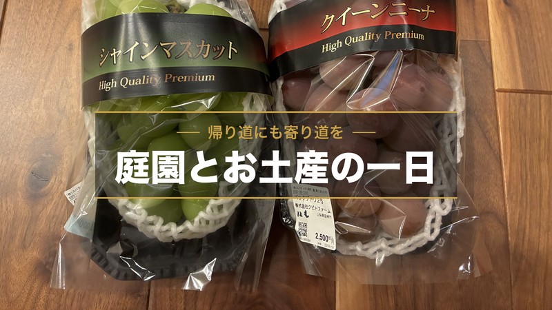 道の駅で買ったお土産のブドウ