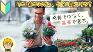 配当株の選び方